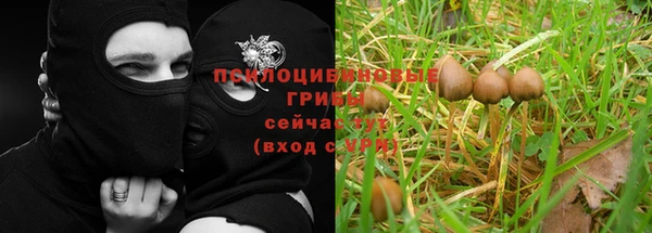 первитин Зеленодольск