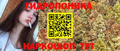 эйфоретик Донецк