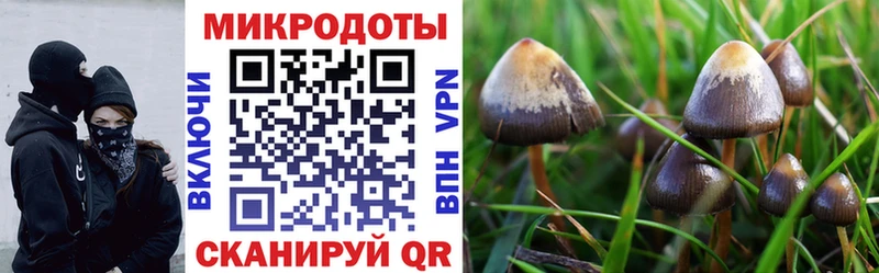 Псилоцибиновые грибы Cubensis  дарк нет наркотические препараты  Кимры 