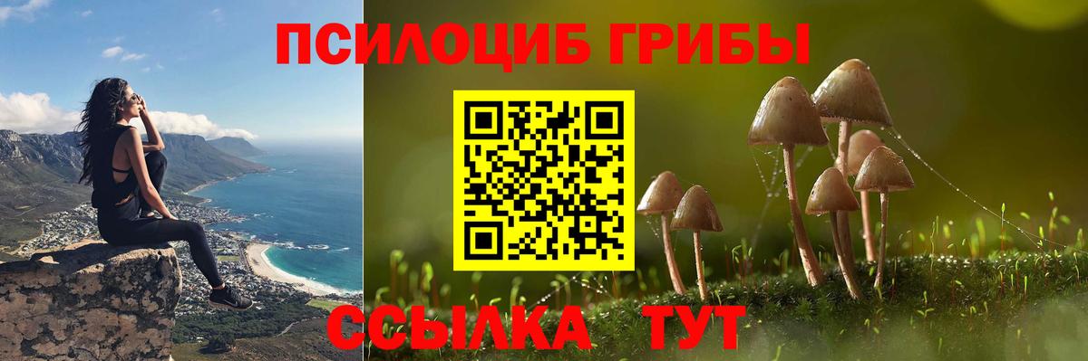 Псилоцибиновые грибы Psilocybe  Вход с VPN  купить   Псилоцибиновые грибы Psilocybine cubensis  Кимры 